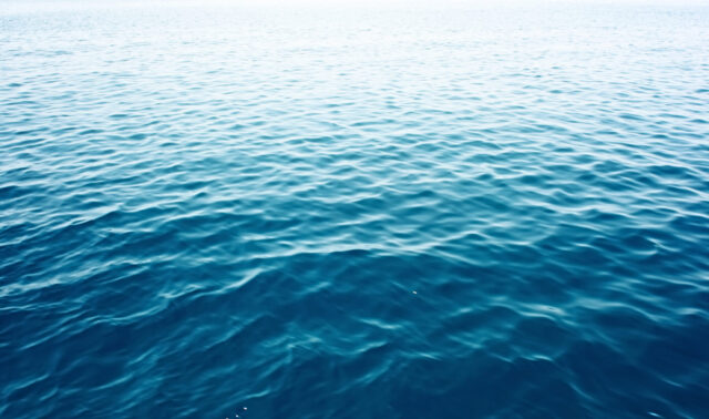 Statement Regarding the Xp 44 incident during the Rolex Middle Sea Race 2025